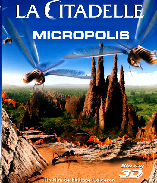 F117 - Micropolis 3D 50G